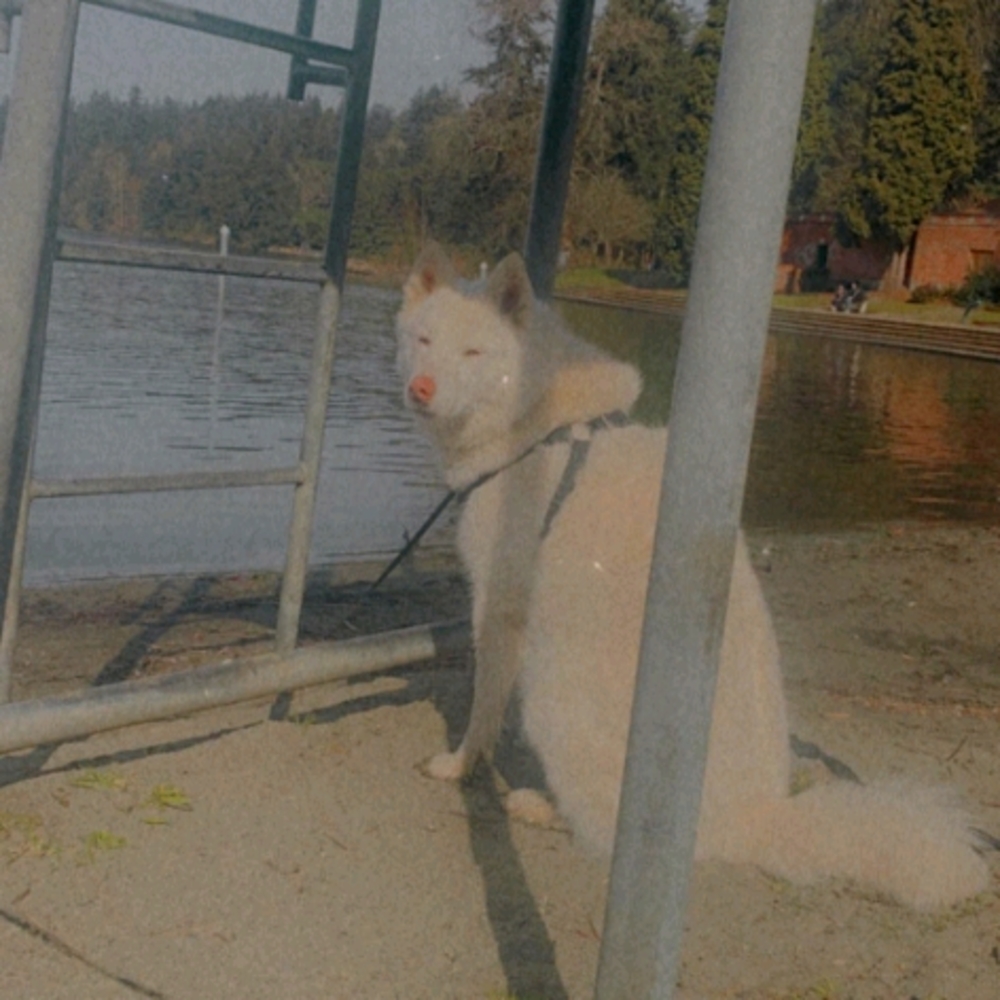 Meet your Posher, Blanca